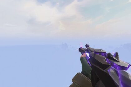 VALORANT singularity skin collection variants