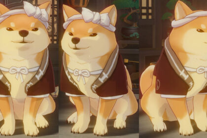 Genshin Impact New leaked NPC Taromaru