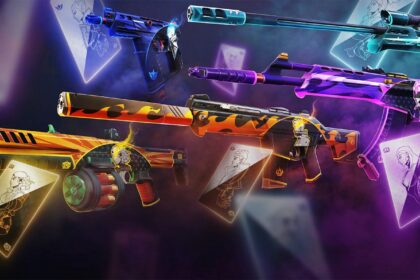 VALORANT Team Ace Skin