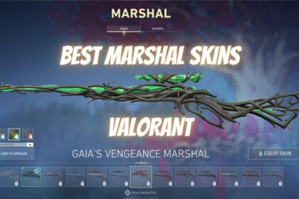 Valorant Best Marshal skins