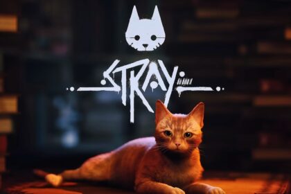 how long stray