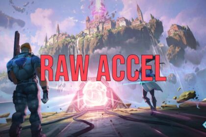 Raw Accel VALORANT
