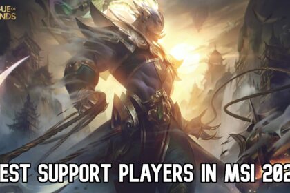 msi support players