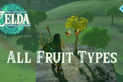 Zelda: Tears of the Kingdom - All Fruit Types 