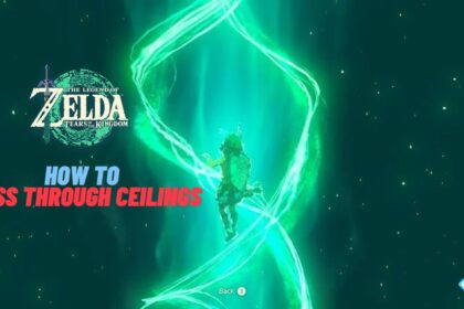 Zelda How To Pass Through Ceilings