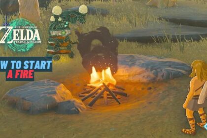 Zelda: Tears of the Kingdom How to Start a Fire