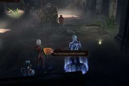 Dank Crypt Puzzle BG3