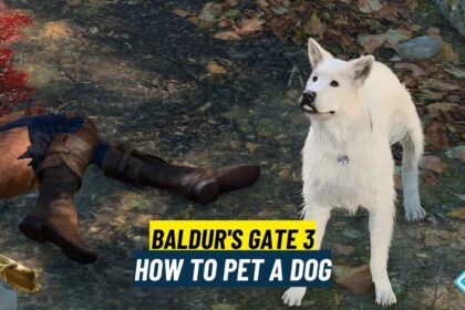 Baldur's Gate 3 How to Pet A Dog