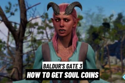 Baldur's Gate 3 Soul Coins