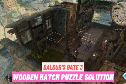 Baldur's Gate 3 Wooden Hatch Puzzle