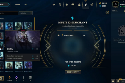 Multi-Disenchant Feature