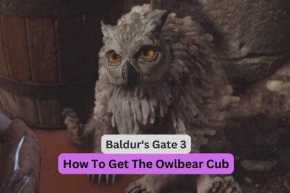 Baldur's Gate 3: How To Get The Owlbear Cub