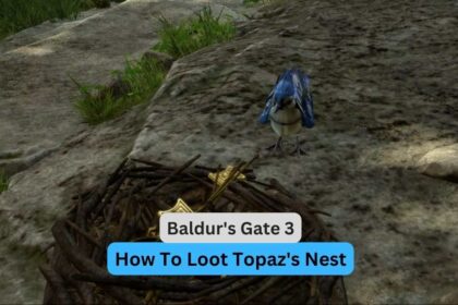 Baldur's Gate 3: How To Loot Topaz's Nest