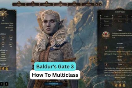 Baldur's Gate 3: How To Multiclass