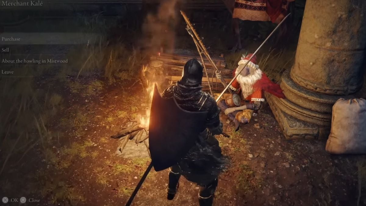 How to complete Blaidd's quest in Elden Ring (2)