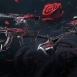 New Bundle_ BLACKTHORN