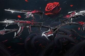 New Bundle_ BLACKTHORN