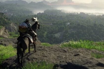 Crimson Desert Puzzle solution guide