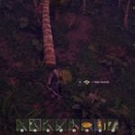 Windrose how to get palm seeds