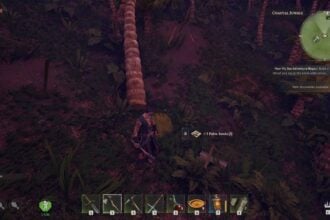 Windrose how to get palm seeds