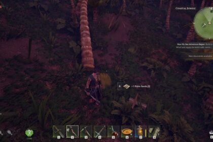 Windrose how to get palm seeds