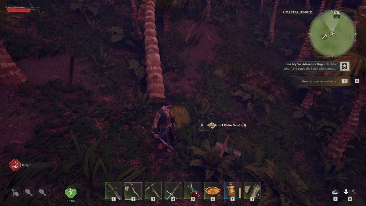 Windrose how to get palm seeds