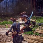 Windrose how to recover health