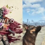 Obsidian Cancels Avowed 2 makes a new fall out game