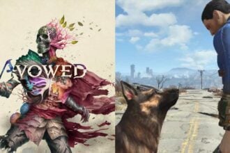 Obsidian Cancels Avowed 2 makes a new fall out game