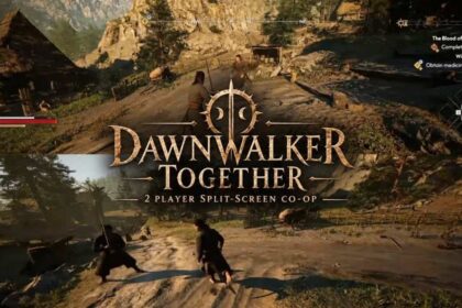 Blood of Dawnwalker Co-OP mod