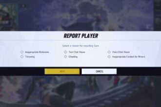 Marvel Rivals New reporting system